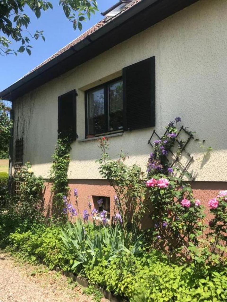 La Maison Des Roses Drachenbronn-Birlenbach Exteriér fotografie