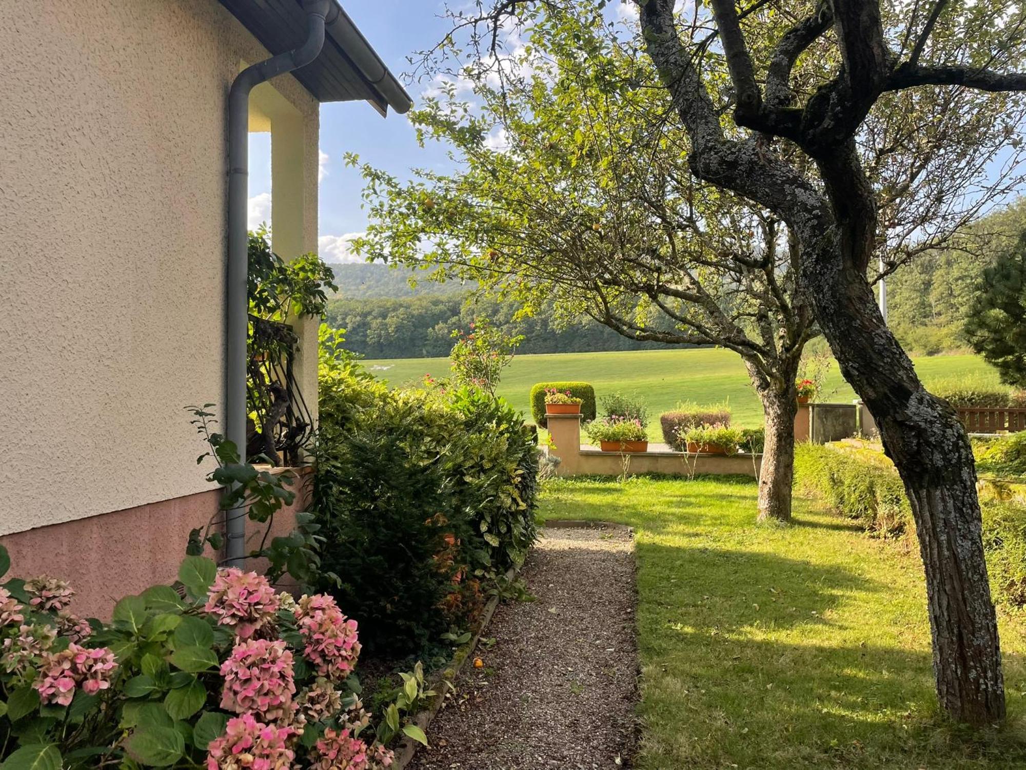 La Maison Des Roses Drachenbronn-Birlenbach Exteriér fotografie