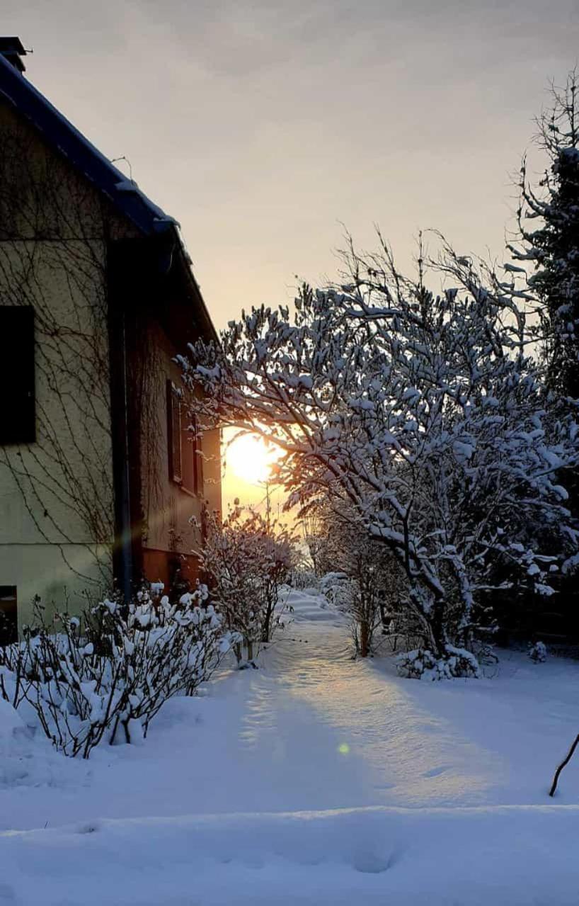 La Maison Des Roses Drachenbronn-Birlenbach Exteriér fotografie